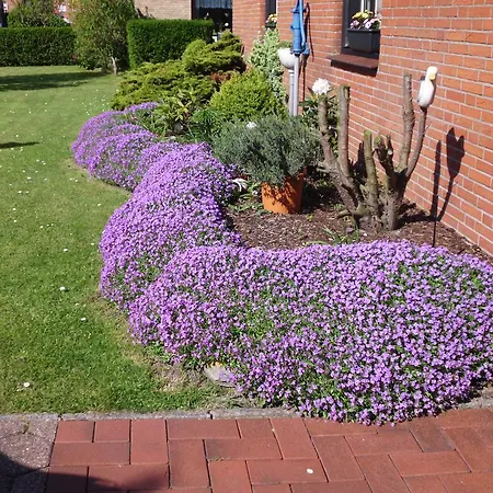 Ferienhaus Jan Granat Apartamento